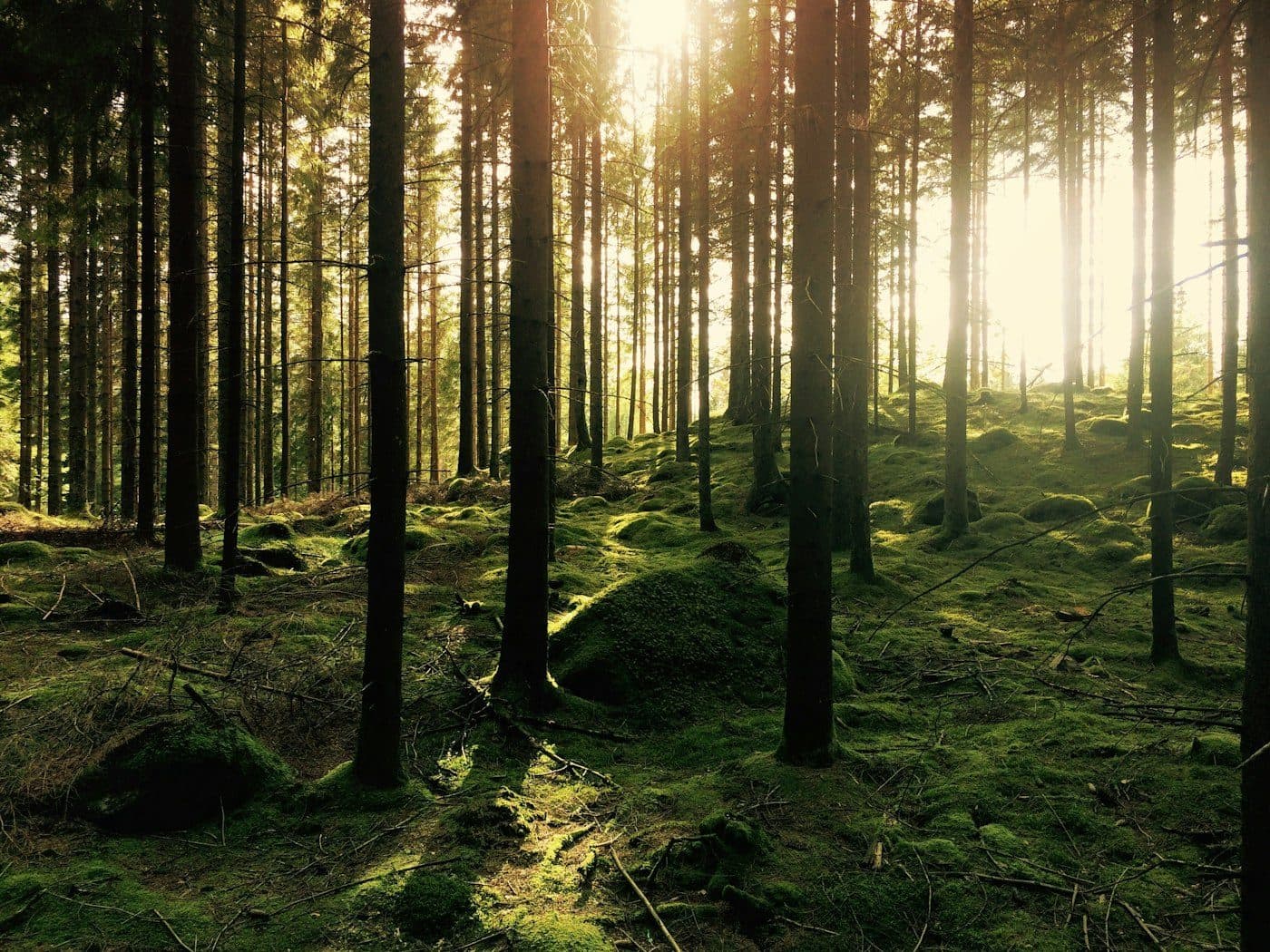 7 Signs an EMDR Intensive Might Be Right for You