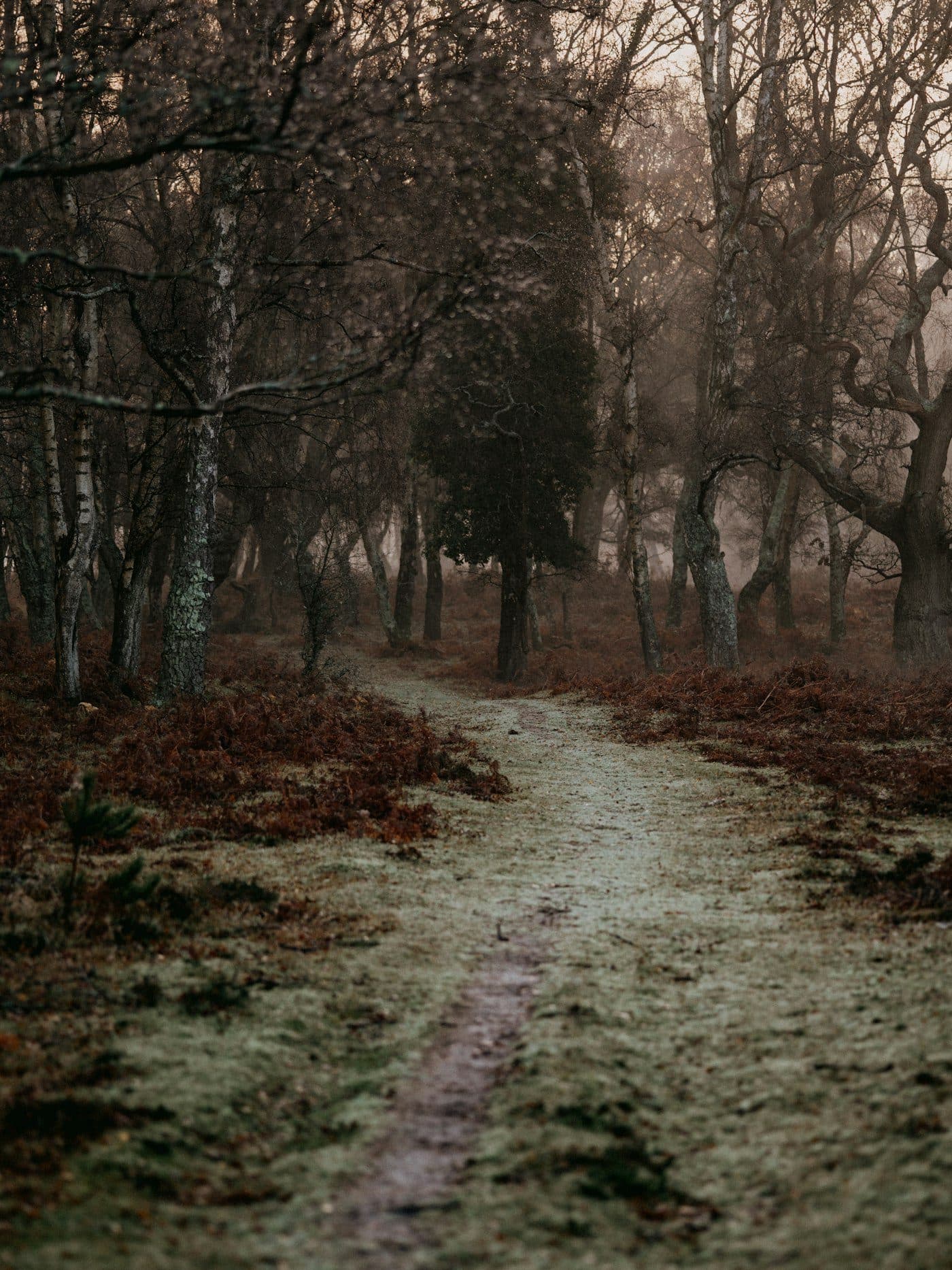 EMDR Intensive vs. Weekly Therapy: How to Choose